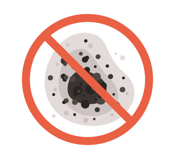 Best Commercial Mold Inspection  in Laware City, DE