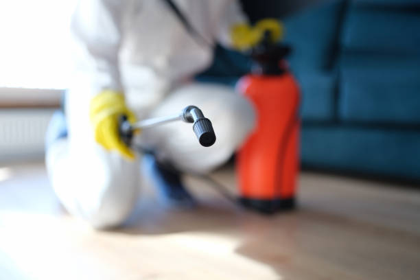 Best Biohazard Mold Removal  in Laware City, DE