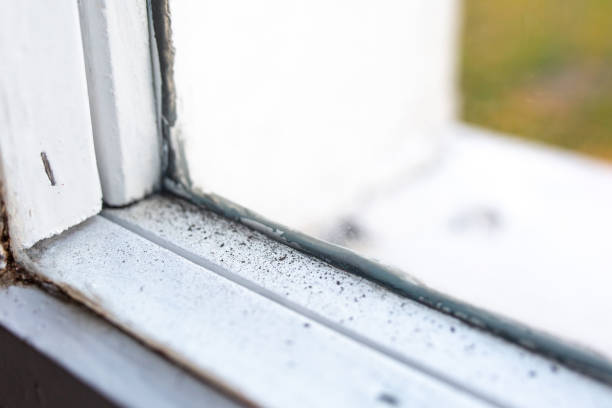 Best Post-Construction Mold Inspection  in Laware City, DE