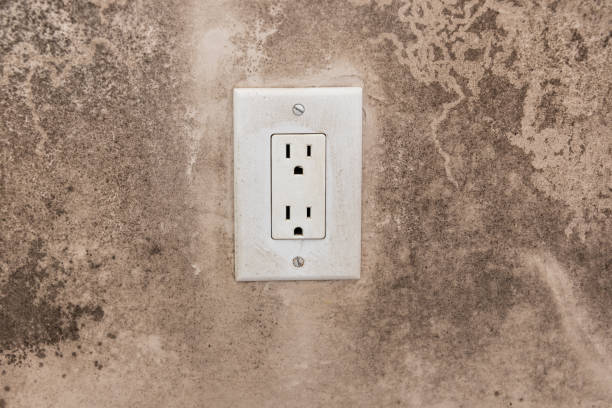 Best Basement Mold Removal  in Laware City, DE