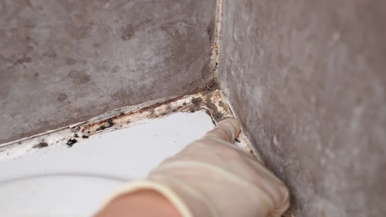 Best Dehumidification Services  in Laware City, DE